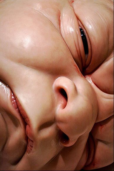 Detail of "A Girl" by Ron Mueck at the National Gallery of Victoria in Melbourne. (Reuters/Mick Tsikas) Ron Mueck Sculpture, Ron Mueck, Face Sculpting, Human Sculpture, Hyper Realistic Paintings, Sculpture Art Clay, Big Baby, Royal Academy Of Arts, Realistic Paintings