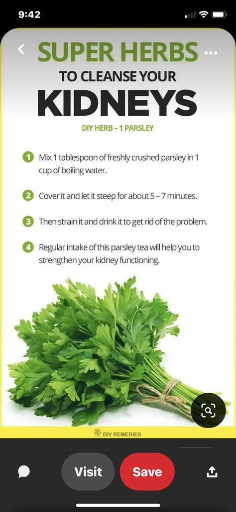 Parsley Tea, Kidney Detox, Kidney Friendly Foods, Sick Remedies, Kidney Friendly, Diy Remedies, Health Tips, Herbs, Healing