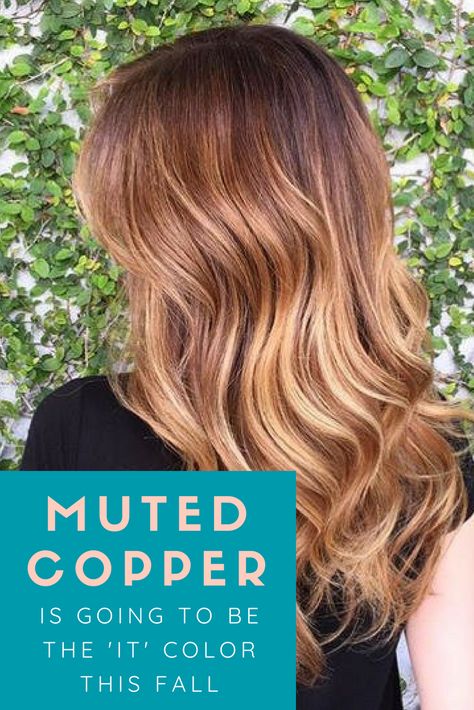 Fall Hair Colors To Do At Home, Cider And Spice Hair Color, Copper Bayalage Blond, Warming Up Blonde Hair For Fall, Red Blonde Balayage Copper Fall Hair, Gingerbread Hair Color Balayage, Fall Hair Colors 2023 Trends, Sunkissed Copper Hair, Autumn 2023 Hair Colour