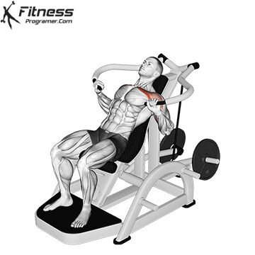 Workout Builder Incline Chest Press, Best Chest Exercises, Home Made Gym, Free Workout Plans, Push Workout, Best Chest Workout, Chest Exercises, Chest Press, Home Gym Exercises