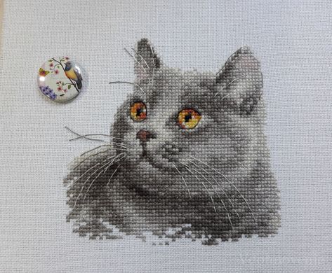 Grey Cat Cross Stitch, Cat Cross Stitch, Scottish Fold, Cat Diy, Cat Pattern, Cross Stitch Art, Hama Beads, Diamond Painting, Needlepoint