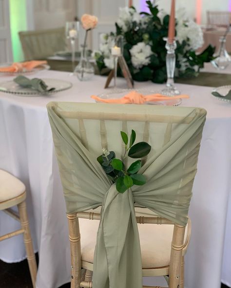 Sage Green Wedding Chairs, Sage Green Chair Sash, Emerald Green Winter Wedding, Sage Wedding Decor, Wedding Reception Chair Decorations, Green House Wedding, Gold Wedding Chairs, Wedding Reception Chairs, Green Wedding Decorations