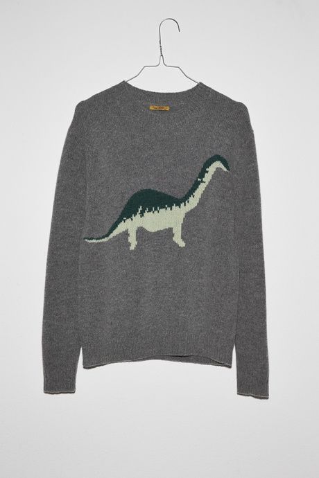 Dino Clothes, Dino Sweater, Dinosaur Sweater, Hello Future, Animal Sweater, Ross Geller, Sweater Weather, Dinosaurs, Fashion Sense