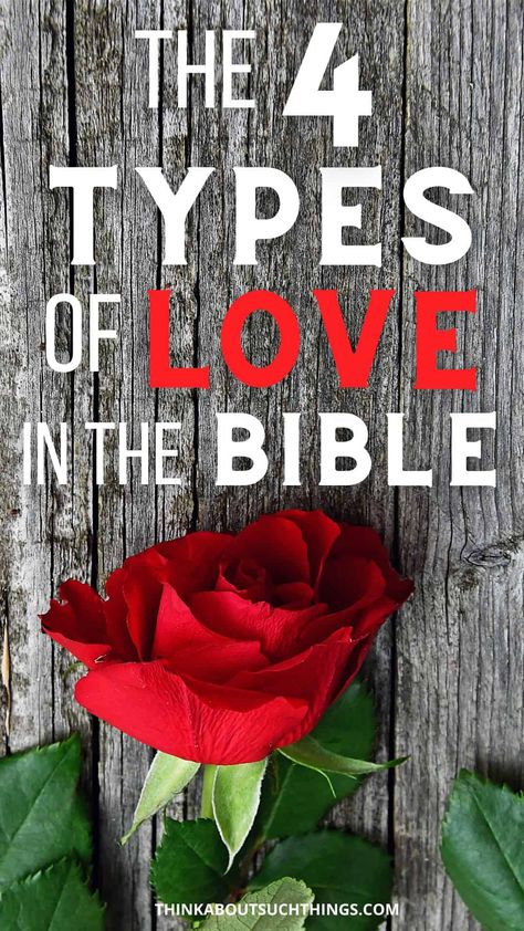 4 Types Of Love, Love In The Bible, Valentines Scripture, Types Of Love, Love Bears All Things, The Four Loves, Bible Images, Christian Things, Love List