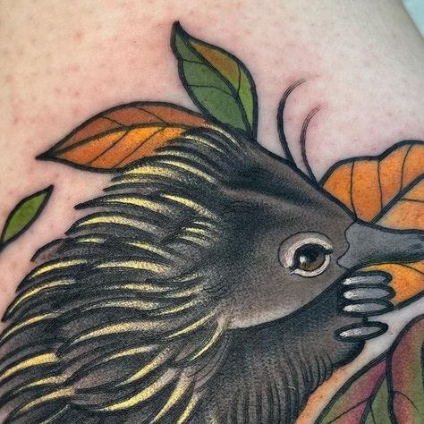 Echidna Tattoo, Awesome Tattoos, Tattoo Small, Tattoo Inspo, Leg Tattoos, Small Tattoos, Cool Tattoos, Body Art, In London