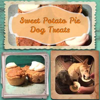 Pie For Dogs, Dog Treats Homemade, Recipe Sweet Potato, Potato Pie Recipe, Potato Muffins, Sweet Potato Pies Recipes, Paleo Pumpkin, Recipe Sweet, Cupcake Pan