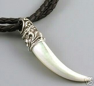 Dragon Tooth Necklace, Wolf Teeth Necklace, Rich Jewelry, Wolf Tooth Necklace, Witch Pendant, Male Witch, Wolf Tooth, Rock And Roll Girl, Canine Tooth