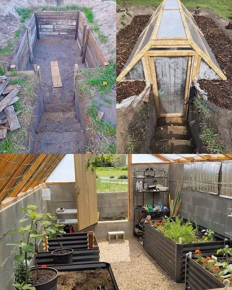 Walipini Greenhouse, Underground Greenhouse, Greenhouse Construction, Winter Vegetables Gardening, Homestead House, Build A Greenhouse, Grow Food, Garden Makeover, Urban Homesteading