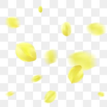 drifting yellow petal,hand painted yellow petals,floating material,yellow flower,yellow,floating petals,small petals scattered in the air,falling flowers,golden flower Floating Petals, Yellow Rose Petals, Falling Gif, Scattered Flowers, Floating Material, Falling Flowers, Yellow Petals, Flower Yellow, Golden Flower