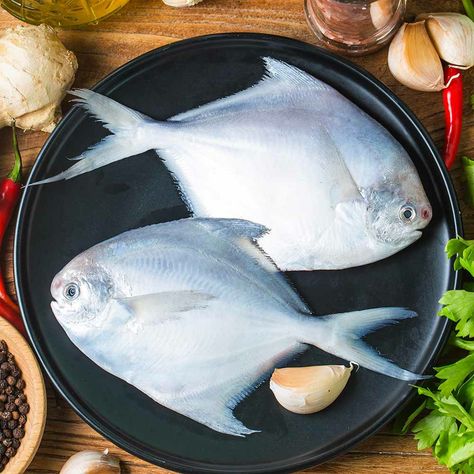 Pomfret Fish Photography, Fresh Fish Photography, Fish Food Photography, Pomfret Fish, Fish Photography, Background Food, Cleaning Fish, Mustard Oil, Delicacy Food