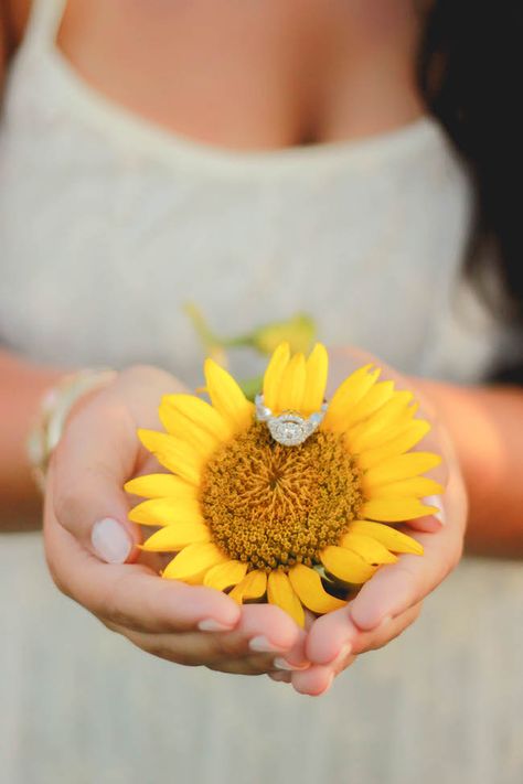 Tyler & Jessica's Sunflower Surprise Proposal | Mid-South Bride Sunflower Proposal Ideas, Sun Flower Engagement Photos, Sunflower Field Proposal, Sunflower Field Engagement Photoshoot, Engagement Photos With Sunflowers, Proposal In Sunflower Field, Sweet Proposals, Sunflower Garden Couple Photoshoot, South Bride