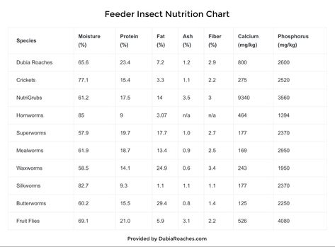 Reptile pet owners- here is a chart I came across that gives nutritional facts on insects for feeding, including protien, fat, fiber, calcium, etc. Home Lizard, Dubia Roaches, Edible Bugs, Lentil Nutrition Facts, Precision Nutrition, Nutrition Chart, Nutrition Articles, Animal Nutrition, Reptiles Pet