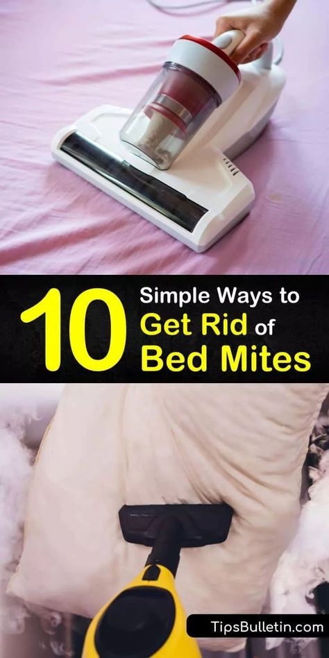 Kill Dust Mites, Dust Mite Spray, Bed Spray, Insect Repellent Homemade, Dust Mite Allergy, Diy Household Cleaners, Kill Bed Bugs, Kill Bugs, Rid Of Bed Bugs