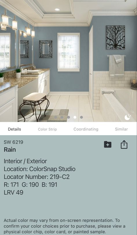 Rain Sherwin Williams, Sherwin Williams Rain, Pender Island, Lake Condo, Blue Gray Paint Colors, Gray Paint Colors, Office Paint, Blue Gray Paint, Sherwin Williams Colors