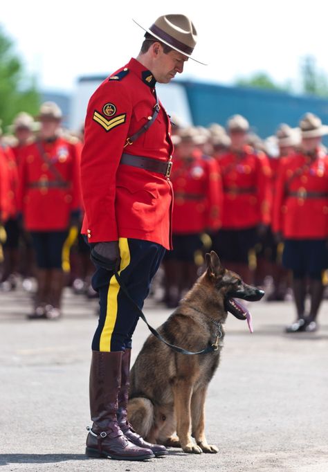 An officer holds slain RCMP Const. David Ross' dog Danny at the funeral procession for the three RCMP officers who were killed in the line of duty. Canadian Mountie, Dog Crying, Powerful Photos, Canadian Things, Mounted Police, I Am Canadian, Canada Eh, O Canada, Canadian History