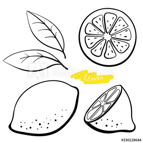 Stock Image: Lemon, whole, half, slice and leaves. Black line sketch collection of citrus fruits isolated on white background. Doodle hand drawn vegetables. Vector illustration Lemon Clipart Black And White, Lemon Line Art, Lemon Line Drawing, Lemon Sketch, Drawn Vegetables, Lemon Vector, Lemon Images, Lemon Clipart, Linocut Ideas