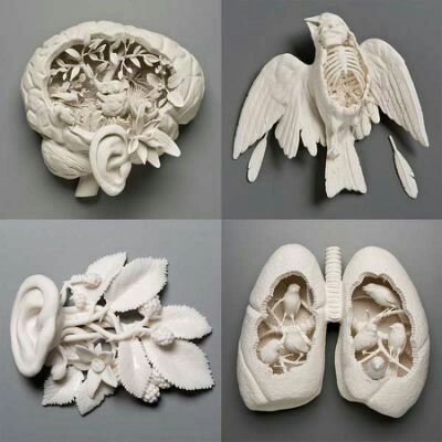 Kate Mcdowell, Art Bizarre, 3d Tiskárna, Clay Works, Sculpture Art Clay, Plaster Sculpture, Creation Art, Sculptures Céramiques, Sculpture Projects