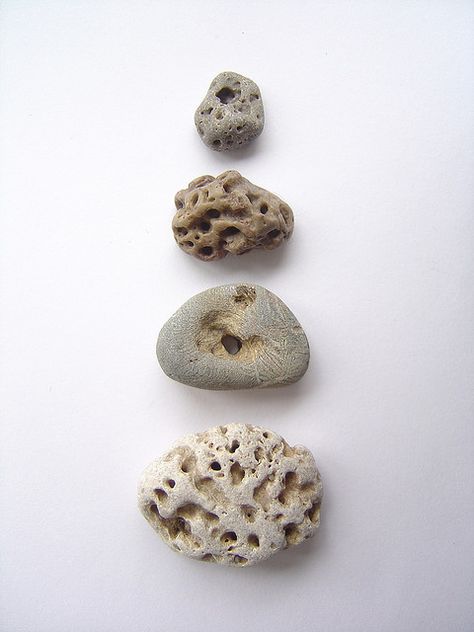 Rocks With Holes, Stone Magic, Native American Tools, Sea Stones, Rocks And Fossils, Eastern Washington, Hag Stones, Beach Walks, Human Touch