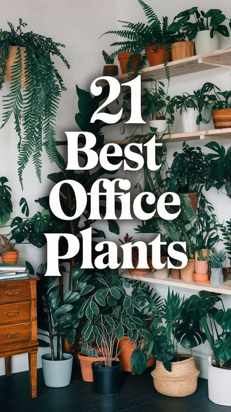 A list of the 21 best office plants Desk Plant Aesthetic, Good Office Plants, Low Light Office Plants, Plants And Candles Aesthetic, Plants In Home Office, Plant Office Aesthetic, Home Office Plants Decor, Plant Cafe Interior, Office Plants Ideas Interior Design