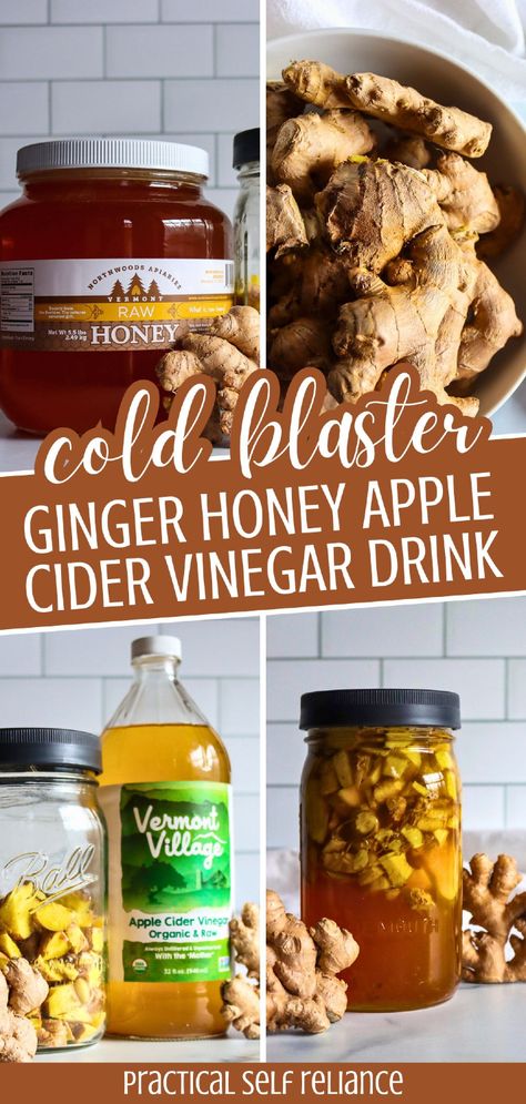 Learn how to make a cold blaster ginger honey apple cider vinegar drink that’s packed with immunity-boosting ingredients. This easy recipe combines ginger, honey, and apple cider vinegar for a soothing, healthful tonic. Find more preserving ginger, ginger medicinal uses, ginger health benefits, and Homestead Survival at Practical Self Reliance. Ginger Cold Remedies, Ginger For Sickness, Honey Lemon Ginger Garlic Cold Remedy, Honey For Colds, Honey Lemon Ginger Cold Remedy, Preserving Ginger, Ginger Health Benefits, Raw Honey Recipes, Lemon Ginger Honey