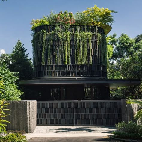 Introverted Architecture, Tropical Facade, Bungalow Facade, Courtyard Landscape, Arch Portfolio, Singapore Architecture, Singapore Botanic Gardens, Hostels Design, Lattice Wall