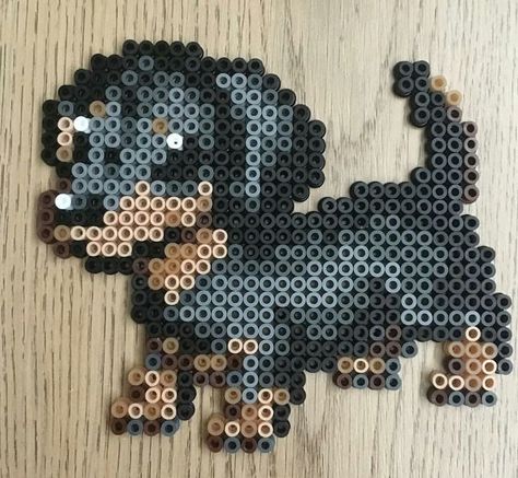 3d Halloween Perler Bead Patterns, 3d Melting Bead Patterns, Sloth Perler Bead Patterns, Snake Perler Bead Patterns, Peeler Beads Patterns Cute, Easy Perler Bead Patterns Simple, Dog Perler Bead Patterns, Perler Beads Animals, Perler Bead Animals