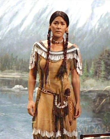 American Indian Girl, Native American Dress, Native American Woman, Native Women, Native American Clothing, Native American Pictures, Wilde Westen, Native American Artwork, Night At The Museum