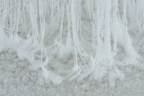 dripping hot glue becomes crystallized tree stems by yasuaki onishi designboom Glue Sculpture, Hot Glue Art, Kyoto Art, Tree Stem, Glue Art, Turned Art, Frozen Christmas, Materials And Textures, Sculpture Installation