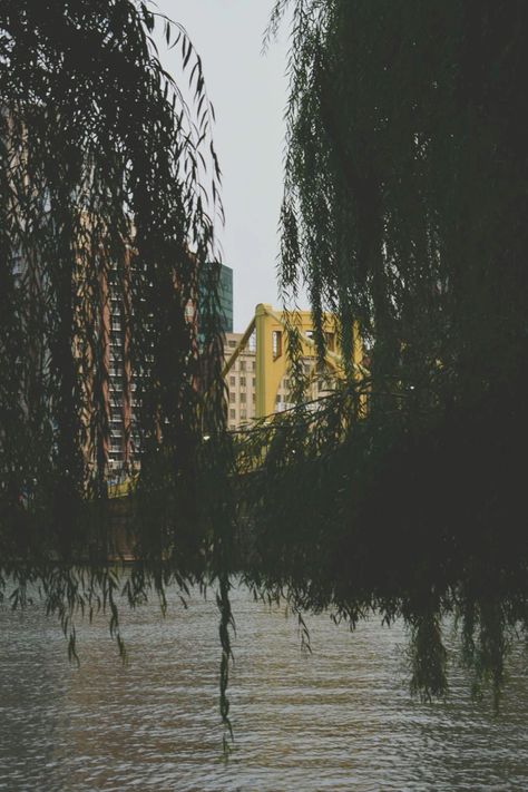 Bridge in Pittsburgh hidden by trees and bushes Pittsburgh Aesthetic, Shots Aesthetic, Building Aesthetic, Dorm Walls, City Limits, 2024 Vision, Green Aesthetic, Photography Inspo, Architecture Art