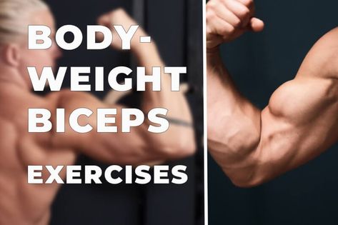 3 bodyweight biceps exercises - Isolate biceps with bodyweight training Bicep Bodyweight Exercises, Bodyweight Bicep Exercises, Exercises For Biceps, Calisthenics Program, Biceps Training, Strength Program, Bicep Muscle, Bodyweight Training, Bodyweight Exercises