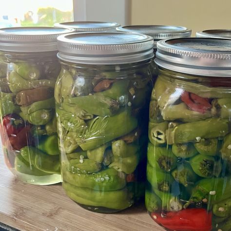 Pepperocini Peppers, Preserving Peppers, Pickled Pepperoncini, Pickled Banana Peppers, Canning Tools, Can Food, Stuffed Anaheim Peppers, Pepperoncini Peppers, From Farm To Table