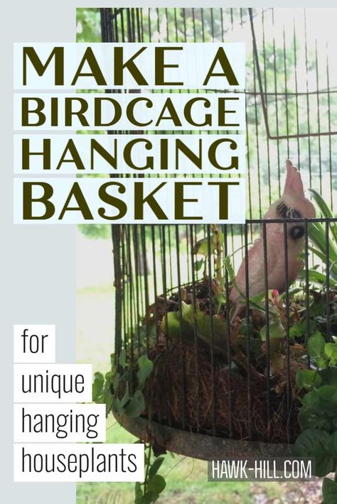 Turning a Birdcage into a Hanging Basket Planter - Tutorial & Tips Large Birdcage Decor Ideas, Vintage Bird Cage Decor, Birdcage Planter, Moss Planter, Artificial Hanging Baskets, Plants In Baskets, Vintage Birdcage, Small Bird Cage, Hanging Wire Basket