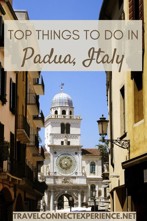 Bucket List Italy, Day Trips From Venice, Italy Vacation Itinerary, Towns In Italy, Padova Italy, Italy Bucket List, Interesting Activities, Padua Italy, North Italy