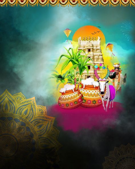 Sankranti Banner Background, Pongal Festival Images Background, Sankranthi Background Hd, Pongal Background Images, Pongal Banner Background, Festival Background For Editing, Pongal Background, Pongal Festival Images, Sankranti Background