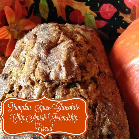 Amish Starter, Amish Bread Starter, Bread Thanksgiving, Amish Bread Recipes, Amish Friendship Bread Starter Recipes, Pumpkin Spice Chocolate, Bread Chips, Friendship Recipe, Friendship Bread Recipe