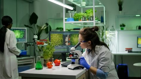 Biologist researcher analyzing biologica... | Free Photo #Freepik #freephoto #food-science #food-technology #biologist #laboratory-microscope Food Technologist, Food Engineering, Health Benefits Of Mushrooms, Mushroom Benefits, Food Innovation, Food Technology, Food Scientist, Chemistry Labs, Bustling City