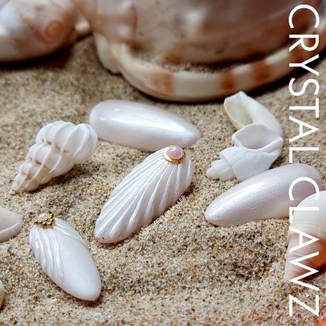 Shell Nails Seashells, Shell Nails Designs, Sea Shell Nail Art, Sea Shell Nails, Seashell Nail Art, Shell Nail Art, Shell Nails, Seashell Nails, Beach Nail Art