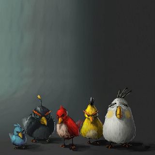 ;) Angry Birda, Angry Birds Funny, Angry Bird Pictures, 2560x1600 Wallpaper, Wallpaper Birds, Bird Meme, Animals Wallpapers, Wallpaper Animals, Deer Painting