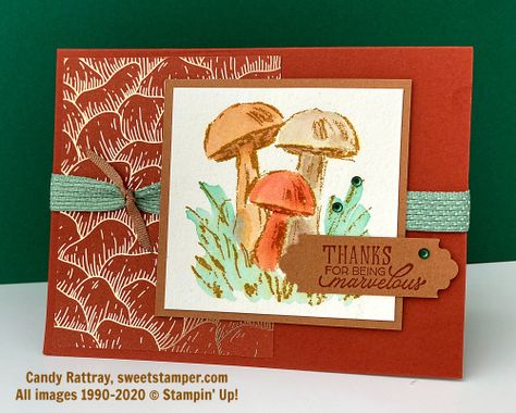 Inspirational Sketches, Spring Stamps, Mushroom Images, Water Coloring, Autumn Cards, Wood Card, Congrats Card, Fantasy Forest, Luxury Card