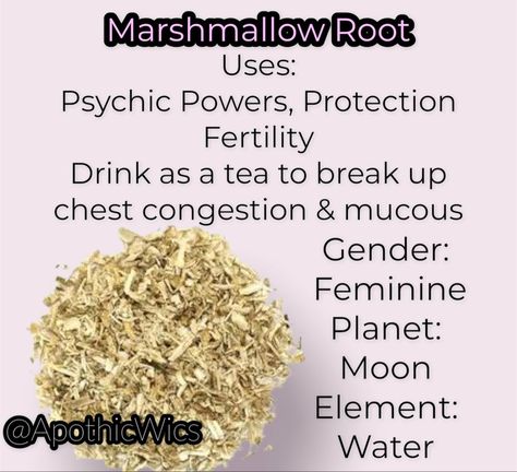 Marshmallow Root Witchcraft, Marshmallow Root Benefits, Smokeable Herbs, Herb Pantry, Fertility Magic, Protective Herbs, Herb Magick, Marshmallow Root Powder, Herb Magic