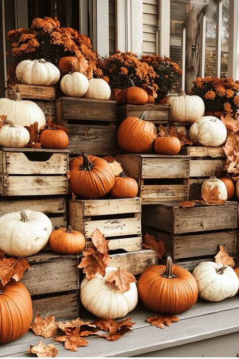 Embrace autumn with these 10 charming farmhouse-inspired porch decor ideas. Learn how to create a rustic fall oasis without breaking the bank! #FallPorchDecor Some of the links in my articles are affiliate links. If you make a qualified purchase from one of my links I will make a small commission at no cost to you. Thank you for your support!!! Autumnal Pictures, Fall Porch Decor Ideas, Simple Diy Projects, Autumn Farmhouse, Fall Front Porch Ideas, Farmhouse Inspired Decor, Fall Porch Decor, Charming Farmhouse, Rustic Pumpkin