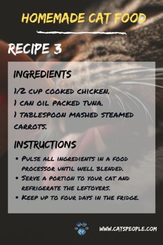 Homemade Cat Treats Recipes, Diy Cat Treats, Cat Food Recipes, Diy Cat Food, Healthy Cat Food, Pet Treats Recipes, Raw Cat Food Recipes, Homemade Cat Food, Cat Nutrition