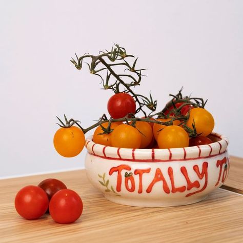 erin on Instagram: "a little bowl to celebrate tomato season! #pottery #wheelthrownpottery #potterydesign #handamdepottery #cutepottery #ceramics #cuteceramics #ceramicsdesign #handmadebowl #illustration #underglazepainting #wheelthrown #stoneware #tomatoseason #underglaze #glaze #amacovelvetunderglaze #amaco #cone6 #potterystudio #decorativeart #homedecor" Fun Dishware, Bowl Illustration, Tomato Season, Wheel Thrown Pottery, Handmade Bowl, Pottery Designs, Pottery Studio, Wheel Thrown, Instagram A