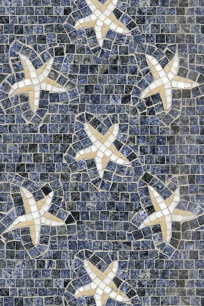 Ravenna Mosaics, Mosaics Art, Beautiful Tiles, New Ravenna, Nautical Bathroom, Mosaic Inspiration, Sea Stars, Tile Table, Diy Mosaic