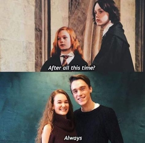 Severus Snape Always, Snape Always, Snape And Lily, Metal Bed Frames, Iron Beds, Wrought Iron Beds, Harry Potter Severus, Severus Rogue, Harry Potter Memes Hilarious