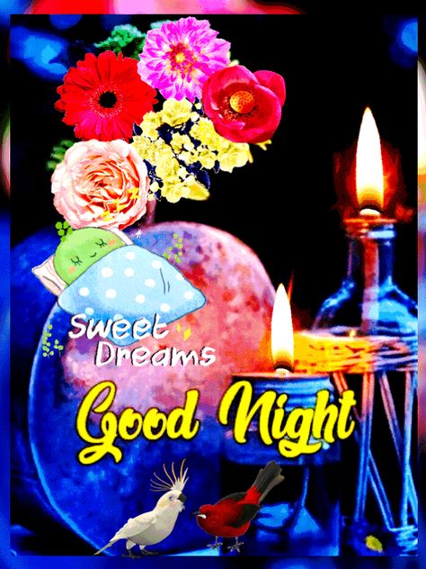 Sweet Dreams Good Night Gif, Sweet Dreams Good Night, 25th Birthday Wishes, Funny Good Night Images, Sweet Dreams Sleep Tight, Good Night Love You, Shabbat Shalom Images, Photos Of Good Night, Welcome Images