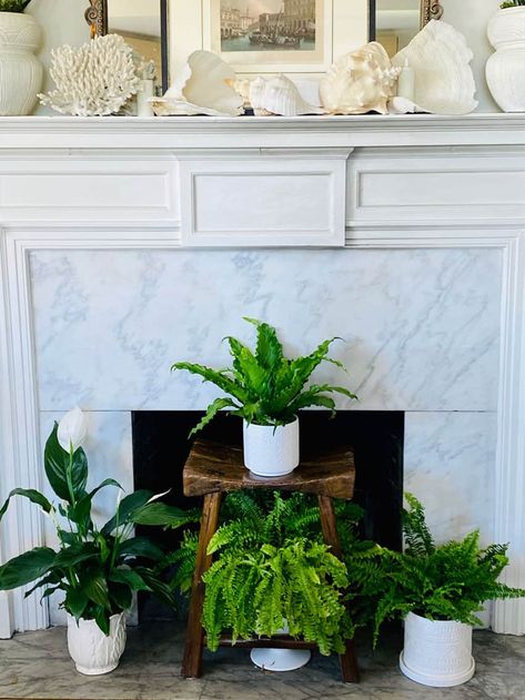 #summerfireplace #houseplants Plants For Fireplace, Plants In Fireplace, Fireplace Plants, Fireplace Filler, Fireplace Hearth Decor, Decorate Your Fireplace, Tall Basket, Room Colours, Work Decor