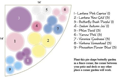 Flower Garden Plans, Butterfly Garden Design, Garden Butterfly, Blue Plants, Corner Garden, Hummingbird Garden, Garden Design Plans, Butterfly Bush, Pollinator Garden