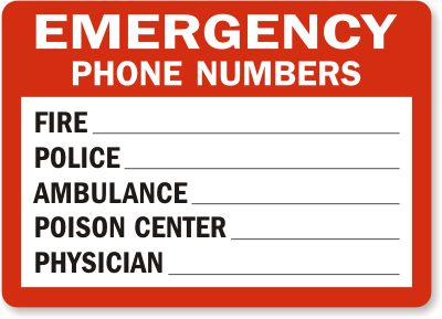 Image from http://3.bp.blogspot.com/-FjCkvWvyBUM/UR6COemDviI/AAAAAAAAAOg/2eHC4VAy_-A/s1600/Emergency-Phone-Numbers-Sign-S-1520.gif. Emergency Phone Numbers, Bangalore Days, Chore Organization, Emergency Contact List, Camping First Aid Kit, Numbers To Call, Camping Safety, Safety Awareness, Scout Leader