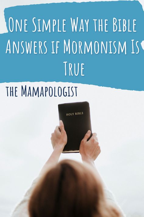 Why does it matter if Mormonism is true to Christians? We are supposed to be about truth. The Bible is one way we can test Mormon beliefs as truth claims. #apologetics #womeninapologetics #faith #christianity #lds #mormon via @mamapologist Apologetics Christian, Mormon Beliefs, Speech And Debate, Articles Of Faith, Take Me To Church, Core Beliefs, Bible Versions, Christian Bible, Interesting Stuff